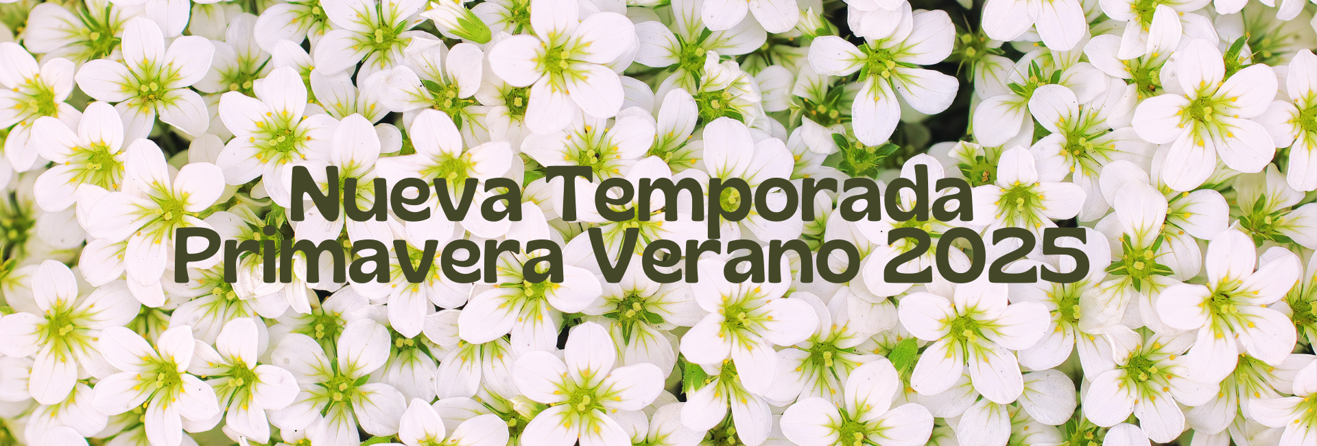 Nueva Temporada de zapatos